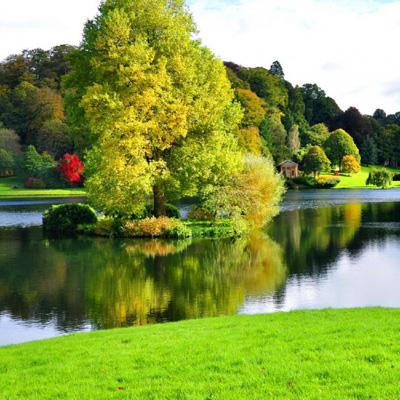 彩神8官网手机app下载