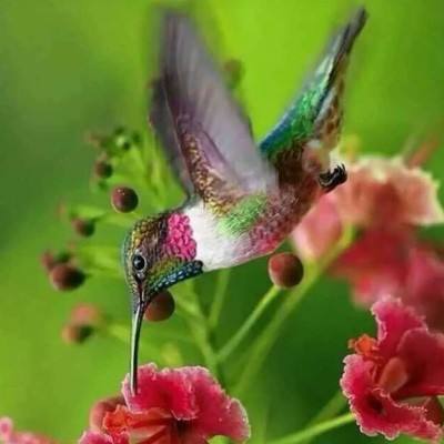 利发app手机登陆·官方网站