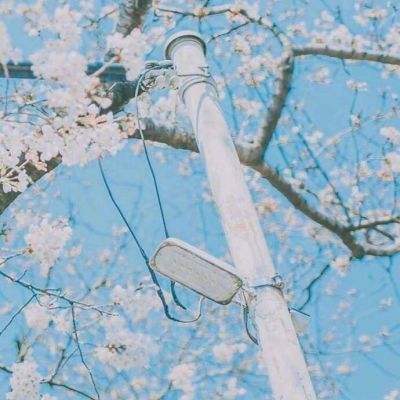 大发彩票www官方网址版