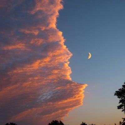 足球滚球的正规平台app截图