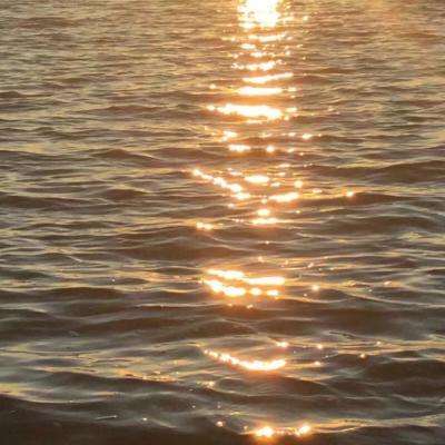 娱乐宝官网下载手机版