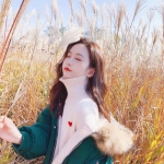 Bsport体育手机在线登录入口